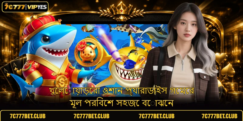 খেলোয়াড়েরা ওশান প্যারাডাইস গেমের মূল পরিবেশ সহজে বোঝেন
