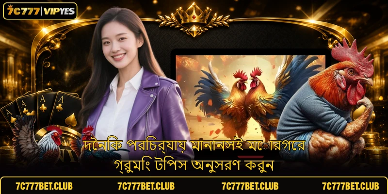 দৈনিক পরিচর্যায় মানানসই মোরগের গ্রুমিং টিপস অনুসরণ করুন দৈনিক পরিচর্যায় মানানসই মোরগের গ্রুমিং টিপস অনুসরণ করুন