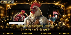 ব্রিডার মোরগ নির্বাচন - স্বাস্থ্য ও বংশগত বাছাই নির্দেশিকা