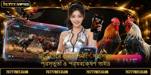 মোরগের কন্ডিশনিং - স্বাস্থ্য, প্রস্তুতি ও পর্যবেক্ষণ গাইড