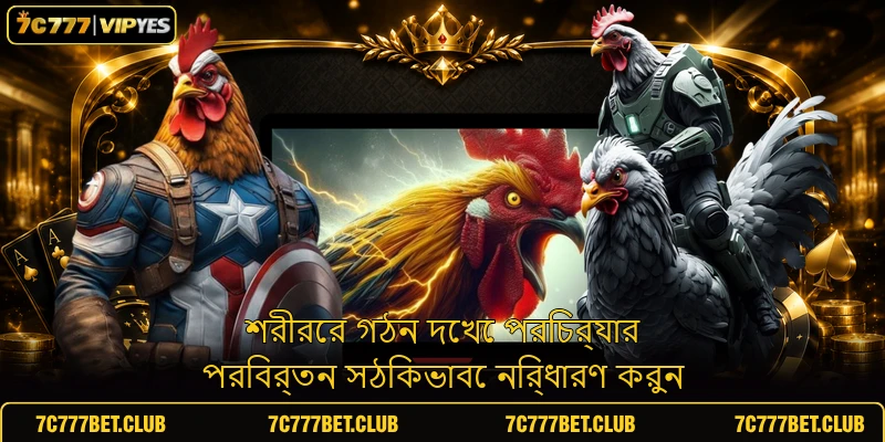 শরীরের গঠন দেখে পরিচর্যার পরিবর্তন সঠিকভাবে নির্ধারণ করুন শরীরের গঠন দেখে পরিচর্যার পরিবর্তন সঠিকভাবে নির্ধারণ করুন