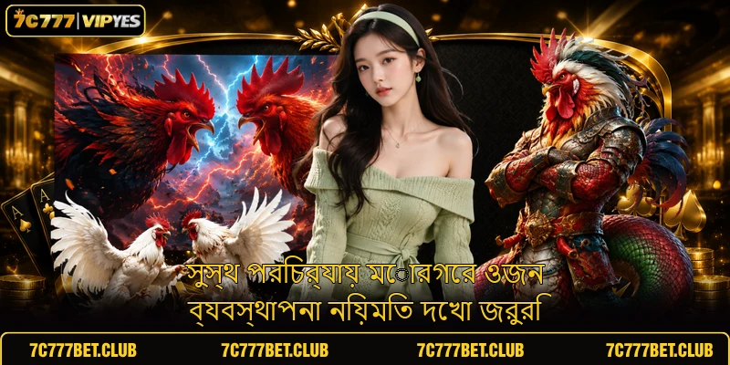 সুস্থ পরিচর্যায় মোরগের ওজন ব্যবস্থাপনা নিয়মিত দেখা জরুরি সুস্থ পরিচর্যায় মোরগের ওজন ব্যবস্থাপনা নিয়মিত দেখা জরুরি